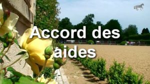 Flexions latérales - Accord des aides