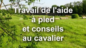 Rassembler : Travail de l'aide à pied et conseils au cavalier