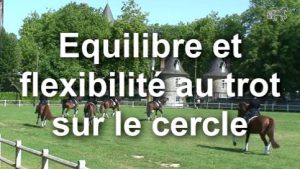 Equilibre et flexibilité au trot sur le cercle