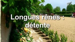 Longues rênes - Détente