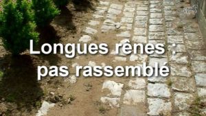 Longues rênes - Rassembler le pas