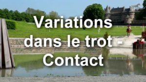 Rassembler : Variations dans le trot - contact