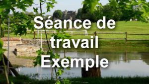 Rassembler : Séance de travail - Exemple