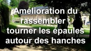 Amélioration du rassembler : tourner les épaules autour des hanches