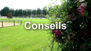 Rassembler : Conseils