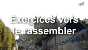 Exercices vers le rassembler