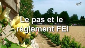 Pas et réglement FEI