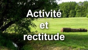 Rassembler : Activité et rectitude