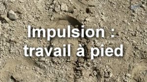 L'impulsion