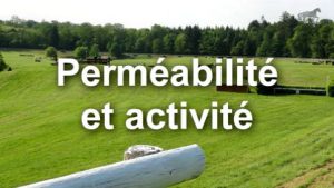 Rassembler : Perméabilité et activité