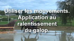 Utiliser les mouvements - Application au ralentissement du galop.