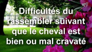 Rassembler : Difficultés du rassembler suivant que le cheval est bien ou mal cravaté