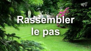 Rassembler le pas