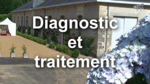 Croupe haute. Diagnostic et traitement.