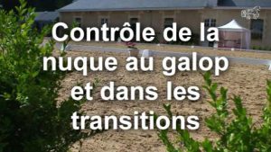 Contrôle de la nuque au galop et dans les transitions