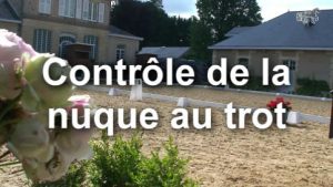 Contrôle de la nuque au trot