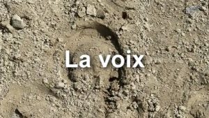 Voix