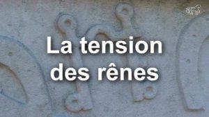 Les aides : tension des rênes