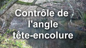 Contrôle de l'angle tête-encolure