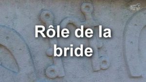 Rôle de la bride