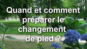 Quand et comment préparer le changement de pied