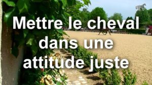 Mise sur la main : mettre le cheval dans une attitude juste