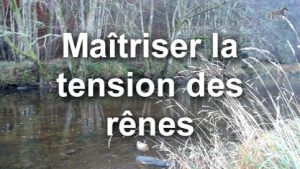 Contact : maîtriser la tension des rênes