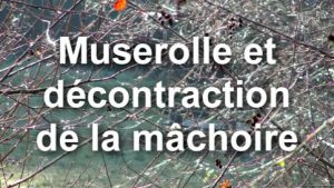 Muserolle et décontraction de la mâchoire