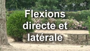 Flexions directe et latérale