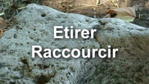 Travail de la ligne du dessus : étirer, raccourcir