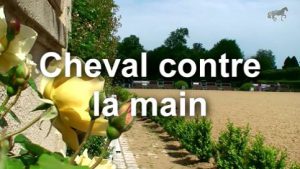 Mise sur la main : problème du cheval contre la main