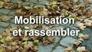 Mobilisation diagonale : définition du rassembler