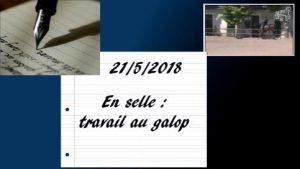 Milady 21/5/2018 - Travail en selle : galop