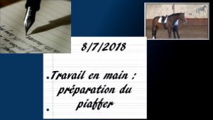 Milady 8/7/2018 - Travail en main : préparation du piaffer