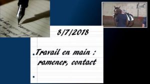 Milady 8/7/2018 - Travail en main, ramener, contact