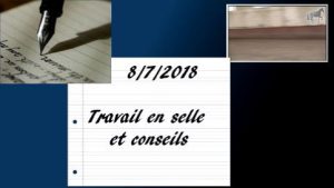 Milady 8/7/2018 - Travail en selle et conseils