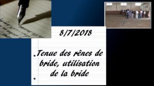 Milady 8/7/2018 - Tenue des rênes de bride et usage de la bride