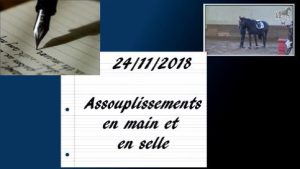 Milady 24/11/2018 - Assouplissements en main et en selle