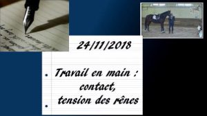 Milady 24/11/2018 - Travail en main : contact, tension des rênes