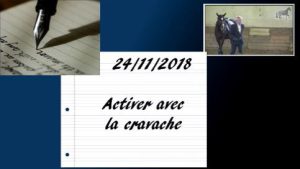 Milady 24/11/2018 - Activer avec la cravache