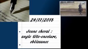 Erminato 24/11/2018 - Travail du jeune cheval : contrôle de l'angle tête-encolure, obéissance