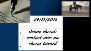 Erminato 24/11/2018 - Contact avec un cheval bavard