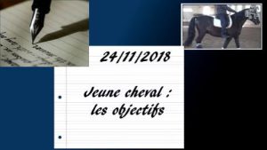 Erminato 24/11/2018 - Travail d'un jeune cheval : les objectifs