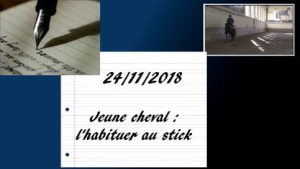 Erminato 24/11/2018 - Habituer le jeune cheval au stick