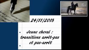 Erminato 24/11/2018 - Transitions arrêt-pas/pas-arrêt