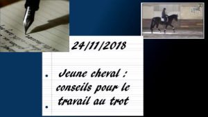 Erminato 24/11/2018 - Travail d'un jeune cheval : conseils pour le travail au trot