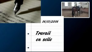 Milady 16/11/2016 - Travail en selle