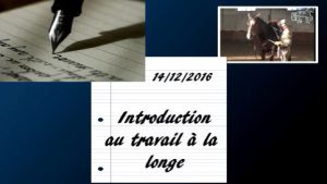 Milady 14/12/2016 - Introduction au travail à la longe