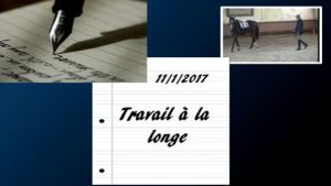 Milady 11/1/2017 - Travail à la longe