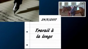 Milady 24/5/2017 - Travail à la longe